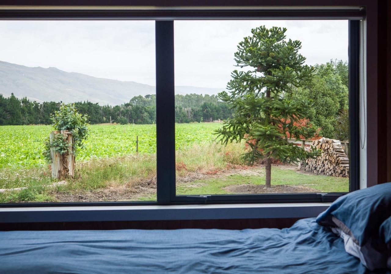 Honey Cottage In Ettrick Millers Flat Экстерьер фото