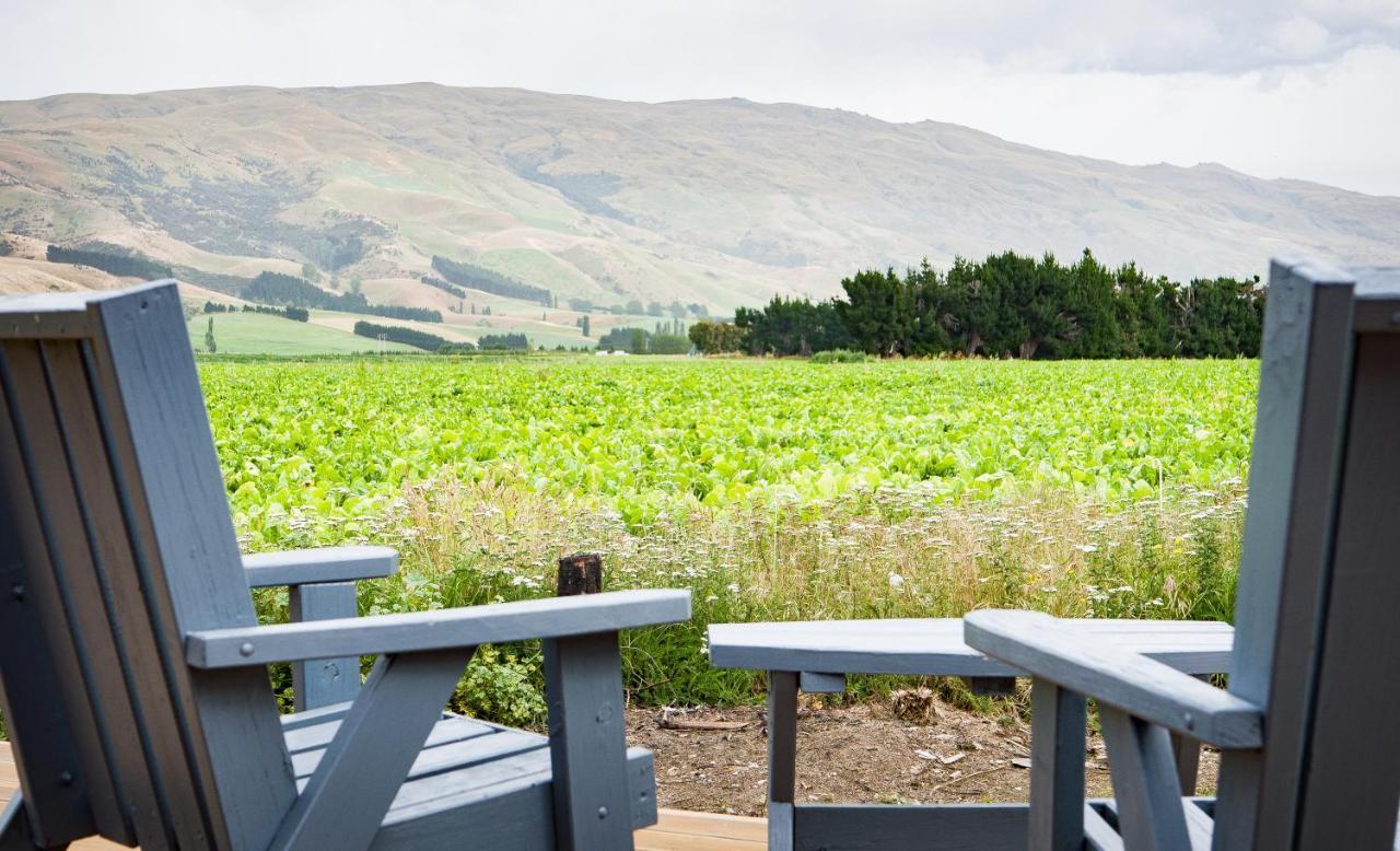 Honey Cottage In Ettrick Millers Flat Экстерьер фото
