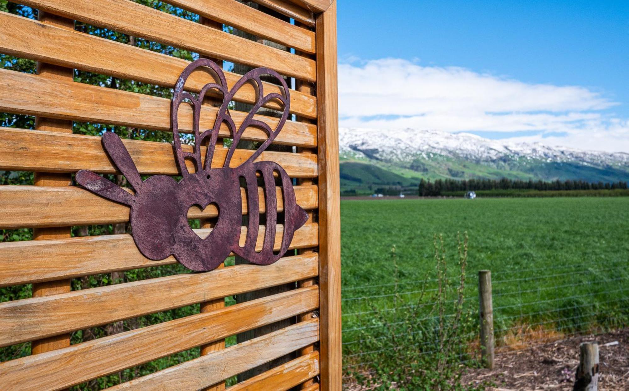 Honey Cottage In Ettrick Millers Flat Экстерьер фото